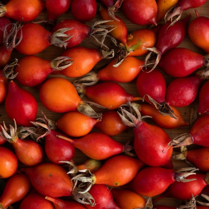 Rosehip Fruit Oil